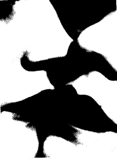 Zum Unithea Programm